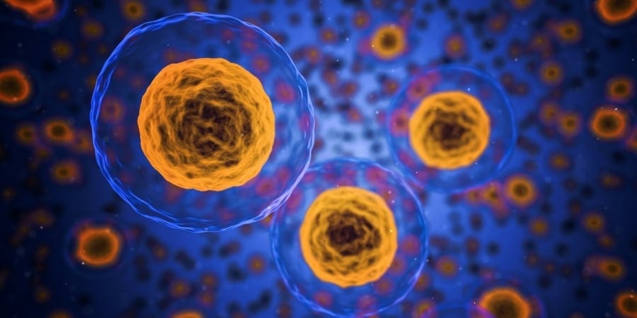 Five Quick Tips That Will Show You How To Melt Fat Fast and Naturally 5 Basal Metabolic Rate