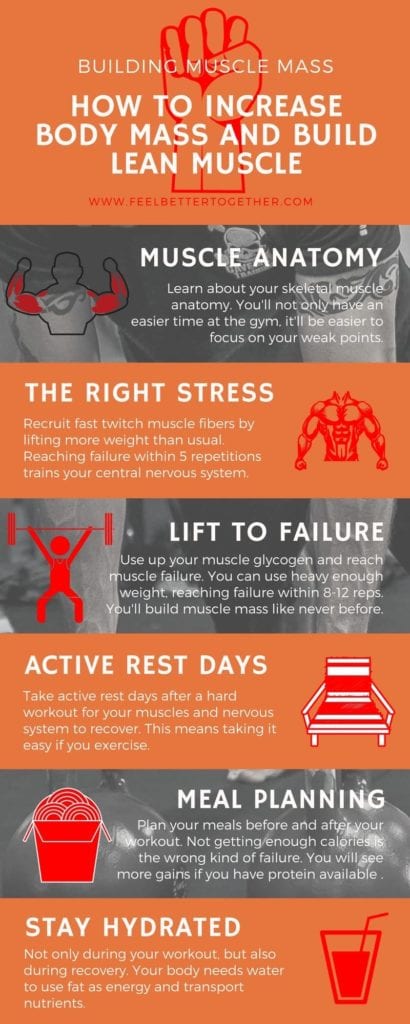 It helps to know the basics if you are starting out. To maximize your gains you need to know what's going on in your body before, during, and after your visit to the gym. We are going to give you a solid foundation to build muscle mass and the get long-term gains. #muscles #lifting #musclebuilding #infographic