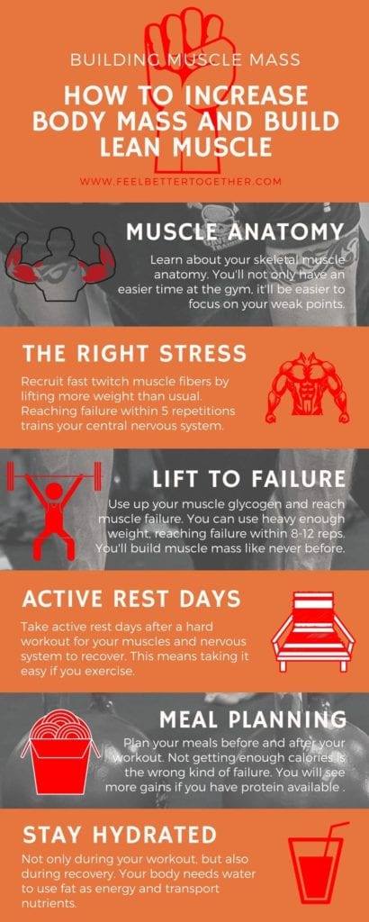 Powerful Muscle Builders: Learn How To Build Lean Muscle Naturally 3 It helps to know the basics if you are starting out. To maximize your gains you need to know what's going on in your body before, during, and after your visit to the gym. We are going to give you a solid foundation to build muscle mass and the get long-term gains. #muscles #lifting #musclebuilding #infographic