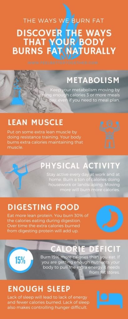 Five Quick Tips That Will Show You How To Melt Fat Fast and Naturally 3 There’s a whole system in place called your metabolism. One of its jobs is to break down food so it can use it for energy or store it in fat cells. It's really good at its job, and that being the case, it can store too much body fat, which is dangerous for your health. #fatloss #tipsandtricks #infographic #healthylifestyle
