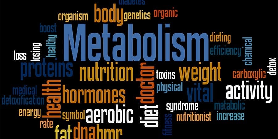 Five Quick Tips That Will Show You How To Melt Fat Fast and Naturally 4 What Does Metabolism Mean Supply and Demand